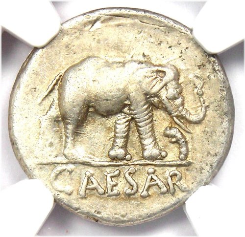 Ancient Roman Silver Denarius Coin featuring an Elephant - 49 BC