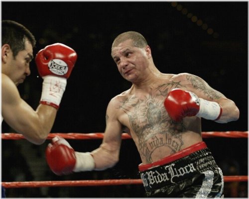 Featherweight Legends Photo Print