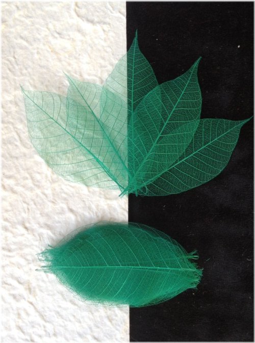 Emerald Veil Skeleton Leaves