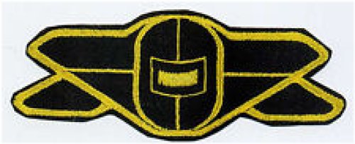 Engineering Services Division Patch