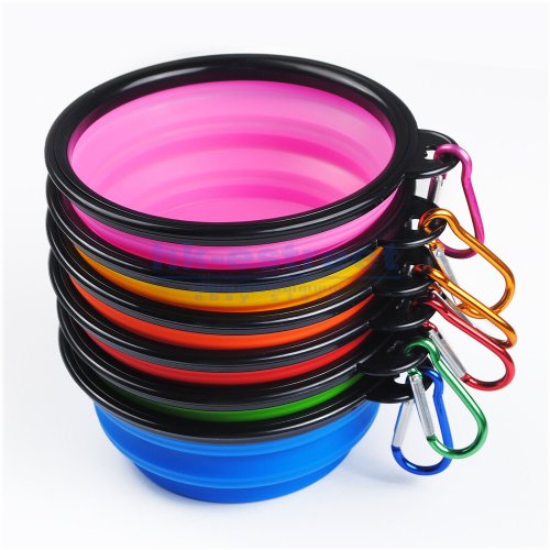 Collapsible Canine Cuisine Kit