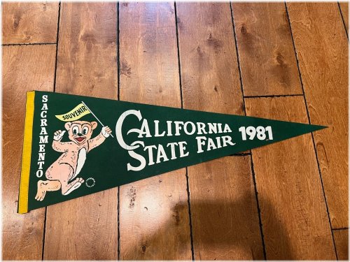 1981 Sacramento State Fair Pennant