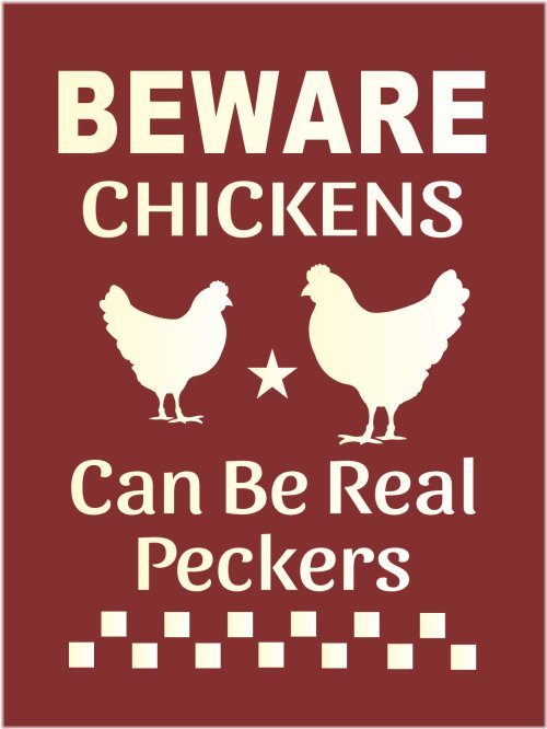 Farmyard Fowl Stencil Set