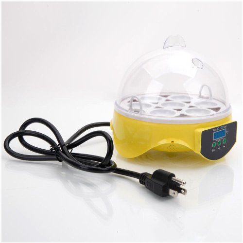 AviNest Mini 7-Egg Digital Incubator