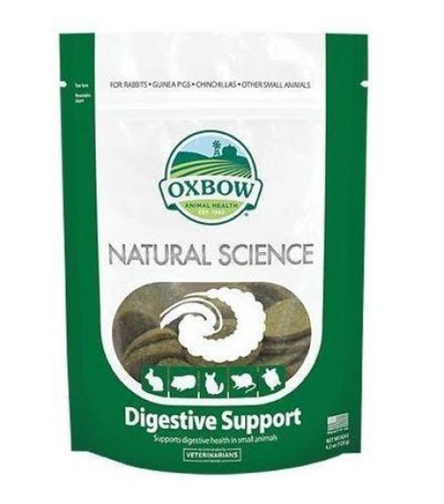 Digestive Health Support for Small Animals