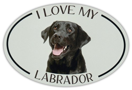 Labrador Love Oval Car Magnet
