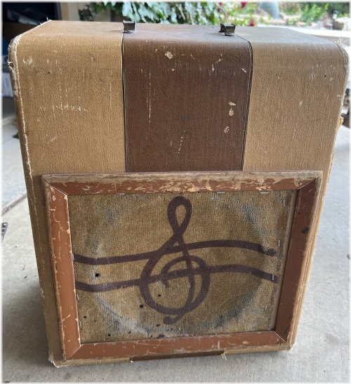 SilverTone Revival Project Amplifier