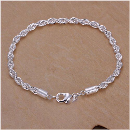 Silver Charm Bracelet Collection