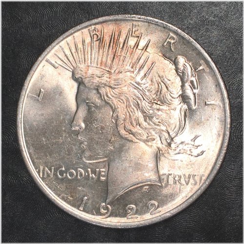 Tranquil Silver Dollar