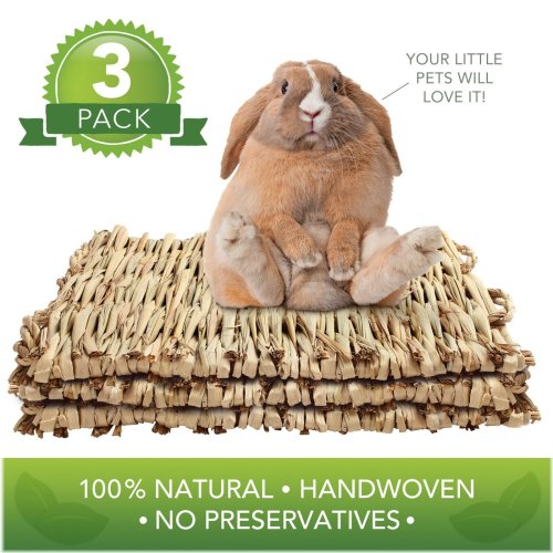 Natural Woven Nesting Set for Small Animals