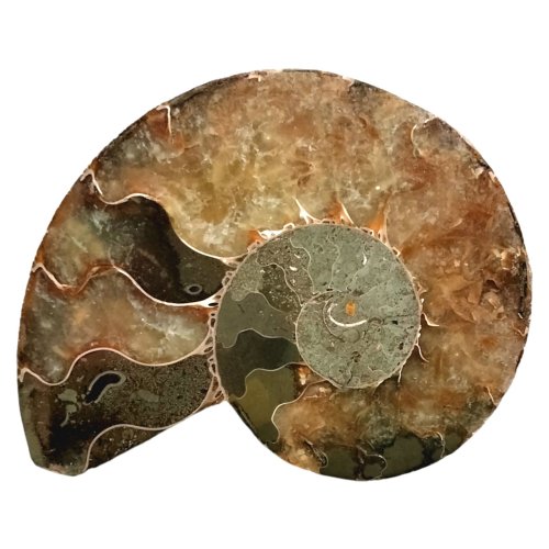 Ancient Ocean Treasure Pendant