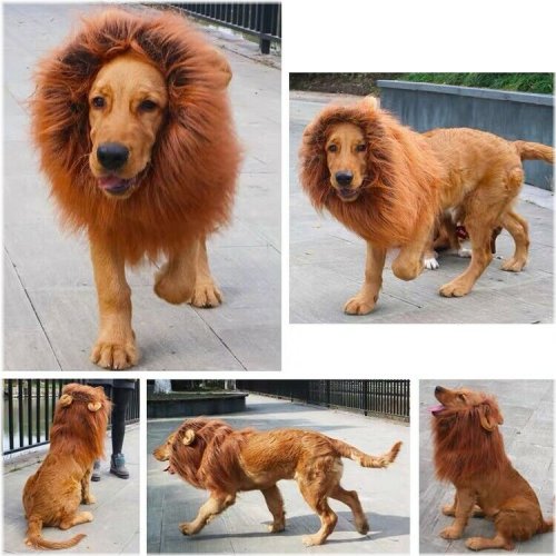 Lion's Pride Mane Wig for Large Dogs