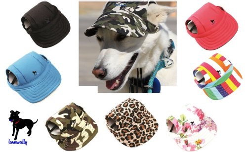 SunPup Visor Hat