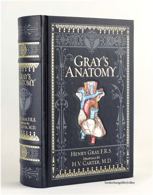 Anatomical Insights: A Deluxe Collectible Edition by Henry Gray