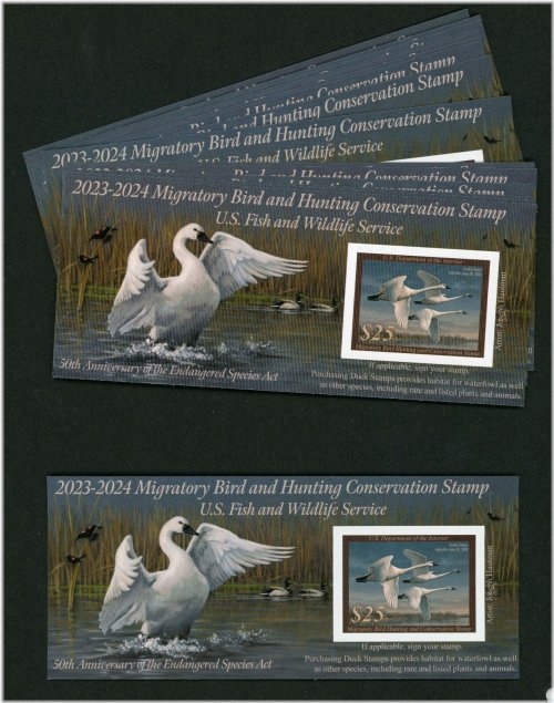 American Waterfowl Conservation Stamp