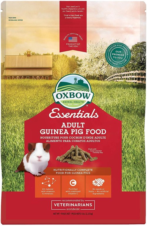 Timothy Feast for Adult Guinea Pigs