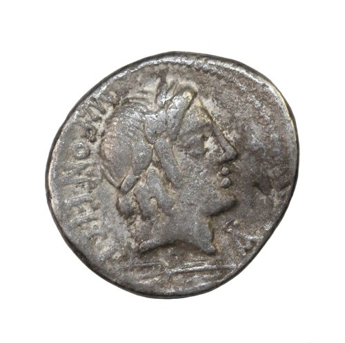 Fonteius Denarius