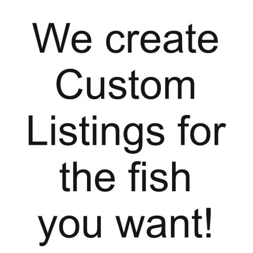 How about "Cichlid Kingdom: Your One-Stop-Shop for Bulk Savings!