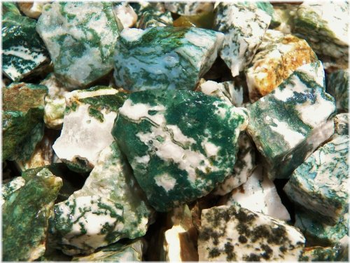 Green Tree Agate Collection with Bonus Faceted Gemstone