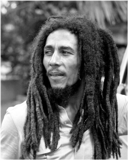 Reggae Legend Portrait Print