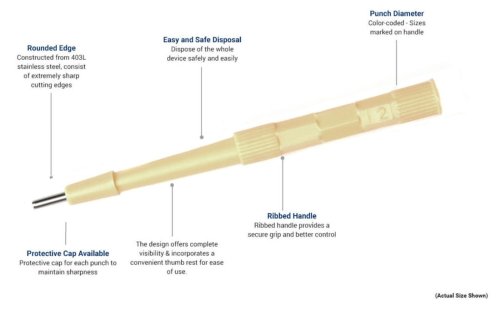 Precision Dermal Punch Set