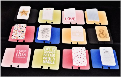 OrganizePro Memorydex Organizer Tray