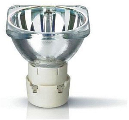 Platinum Glow Bulb