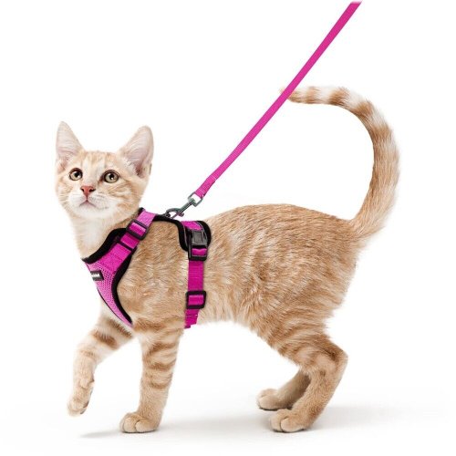 SafePaws Escape-Proof Cat Vest and Leash Set