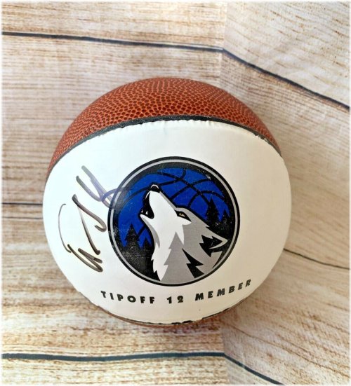 Timberwolves Mini Basketball Signed by Nikola Pekovic