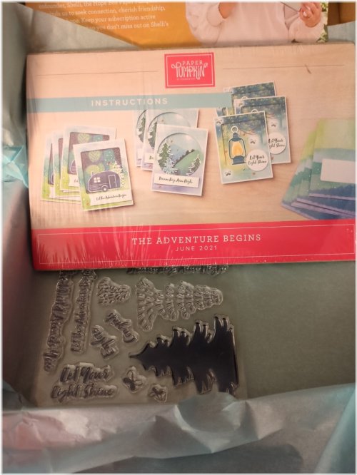 Wilderness Impressions Kit