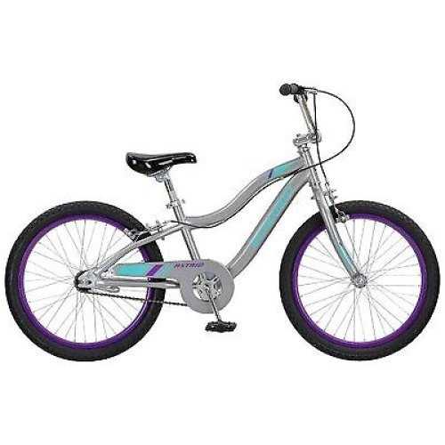 Astrid Gray 20" Kids' Bike by Schwinn