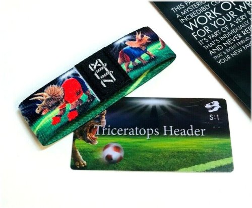 Silver Triceratops Mystery Wristband with Collectible Card