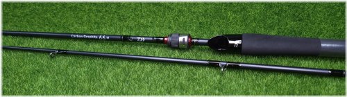 Carbon Cast 6'6" Medium 2-Piece Fishing Rod