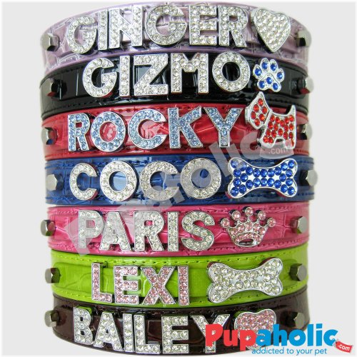 Croc Personalized Pet Collar