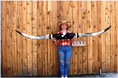 Longhorn Legacy Mount