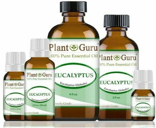 Pure Eucalyptus Therapeutic Oil