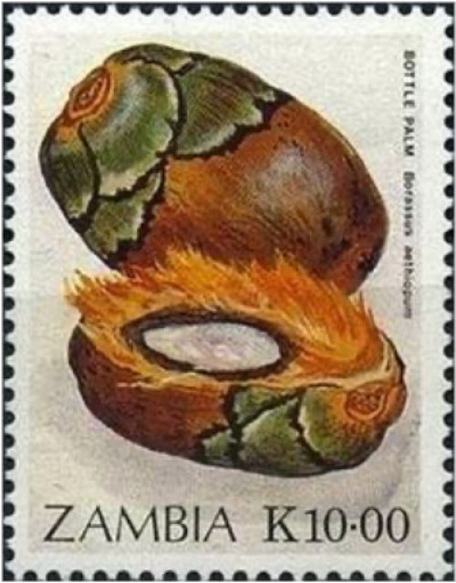 Zambia Fruits and Flora Stamp Collection