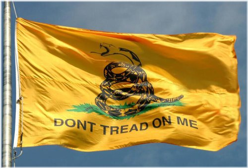 Premium Outdoor Gadsden Flag by USA Seller