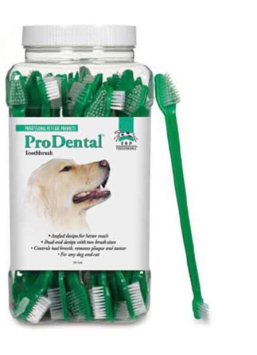 Pawsome Dental Duo