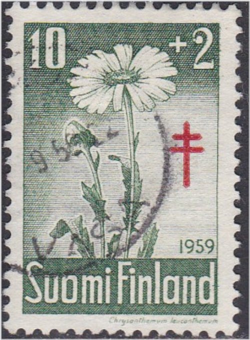 Oxeye Daisy Flowers 1959 Stamp