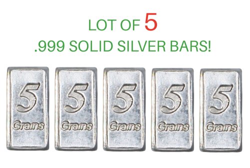 Silver Bullion Collection