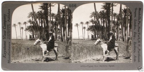 Ancient Egypt Exploration Set