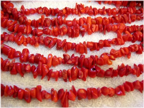 Crimson Coral Cascade