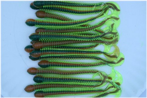 Firetiger Ring Worms