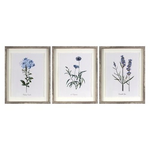 Vintage Botanicals Trio Framed Wall Art