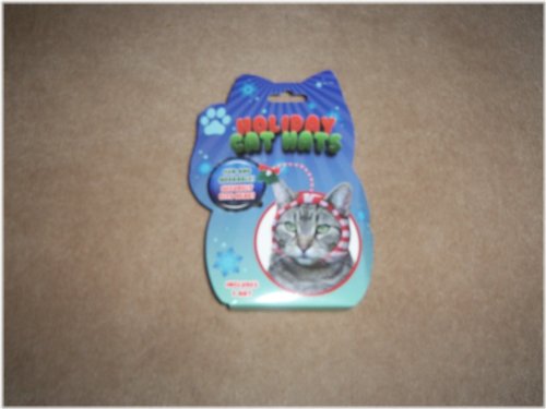 Festive Feline Striped Hat