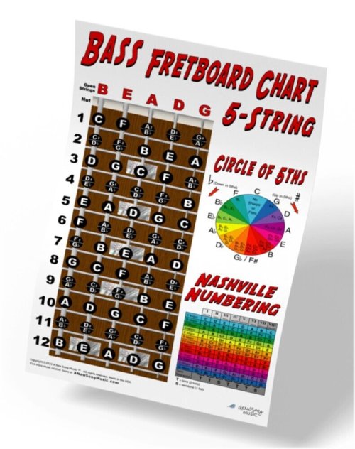 String Bass Fretboard Mastery Guide with Nashville Numbering