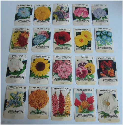 Vintage Lone Star Flower Seed Packets (1940s) - Set of 20 (Empty)