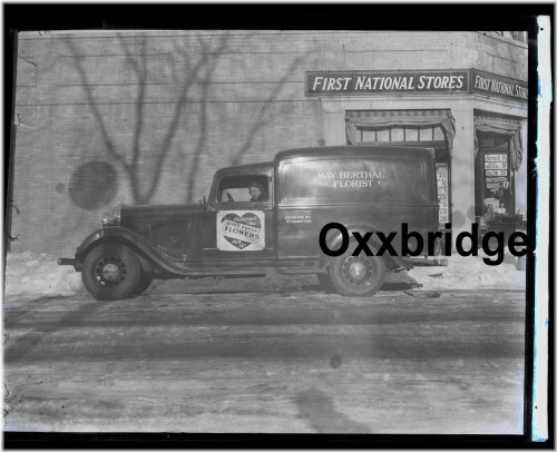 Blooms of Bridgeport Collection