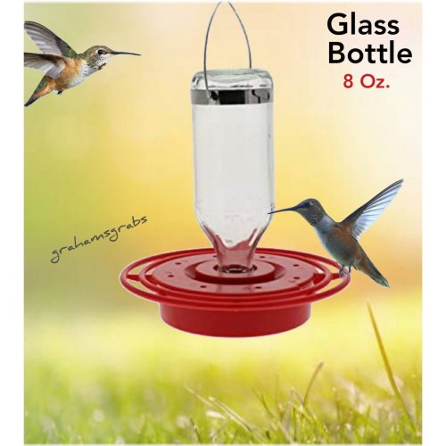 Glass Bottle Hummingbird Haven